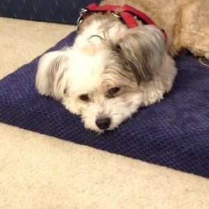 Meet your Posher, Rita